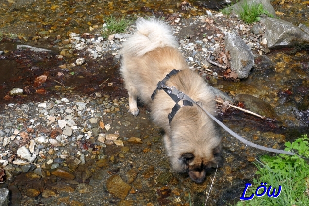 21.4.2025 - Dwix geht einen heben